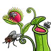 Predator Plants.png