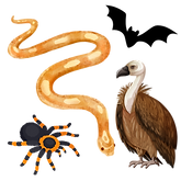creeper creatures.png