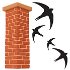 Chimney Swifts