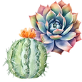 Cactus and Succulent Show.png