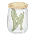 Dilly Beans_edited.png