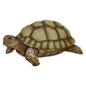 Critter Chat - Turtles.png