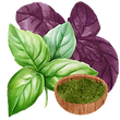 Basil Buffet.png