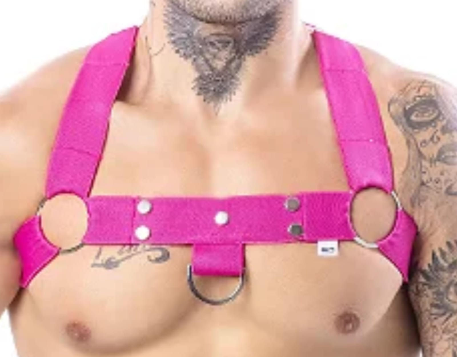 Harness Arreio Com Argolas Com Elástico