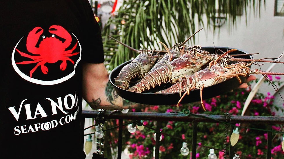 Thumbnail: “Live” Florida  Spiny Lobster Whole