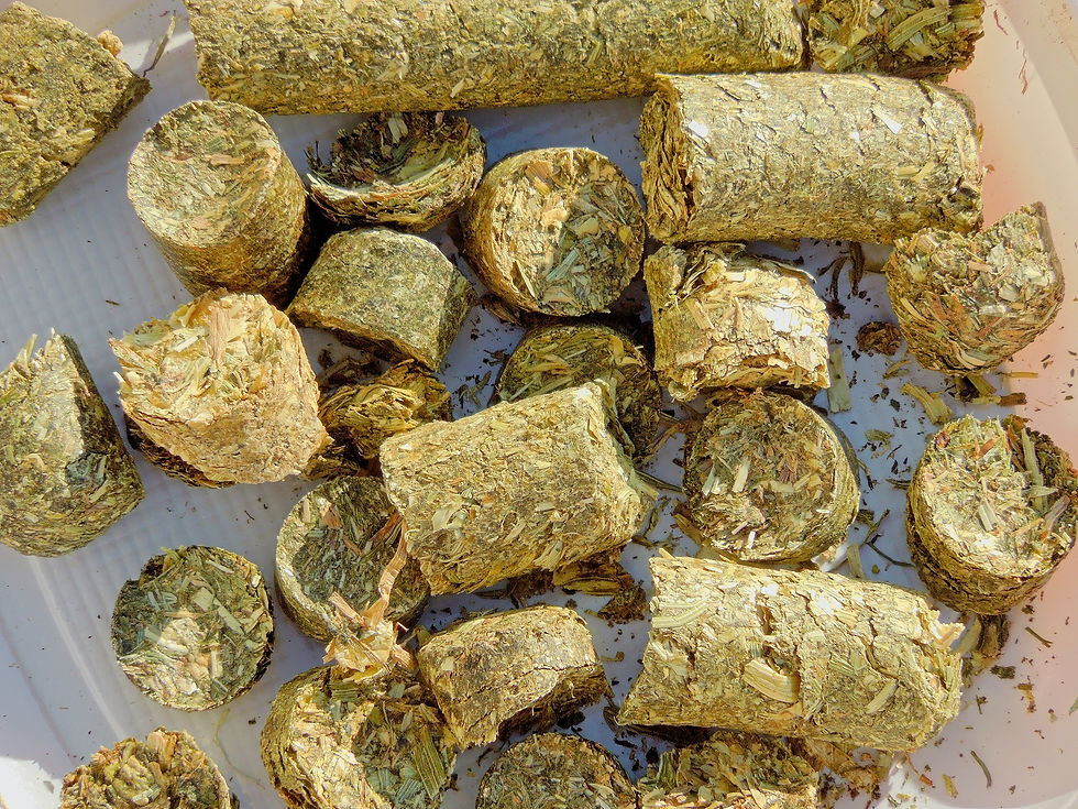 AGROBS Testudo cobs. These can add a very important source of coarse fibres to tortoise diets. They can be used hydrated, or dry, or in combination. They have a proven track record over many years and do not include the damaging ingredients so often found in commercial diets.