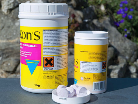 Disinfection and Hygiene for Tortoise Keepers