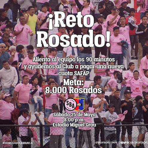 rosa 2.jpg