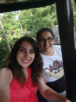 003e Busch Gardens in Williamsburg VA