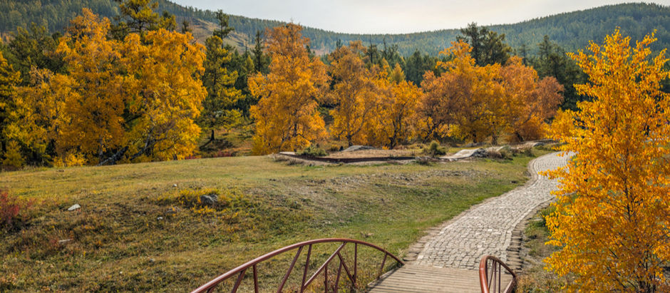 A CHANGE OF SEASONS / UN CAMBIO DE ESTACION