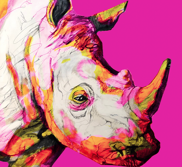 Rhino