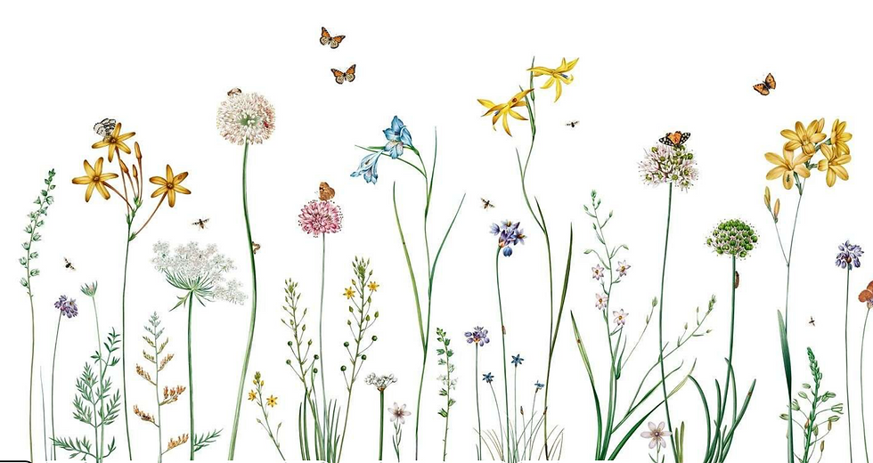 Tegn og mal BLOMSTERVÆRKET