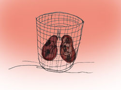 Lungs in a Bin