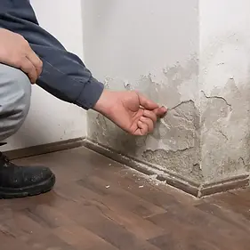 damp-investigation.webp