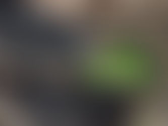 Unwrapping the Ultimate Christmas Feast for Your Feathered Friends: A Festive Poultry Celebration!