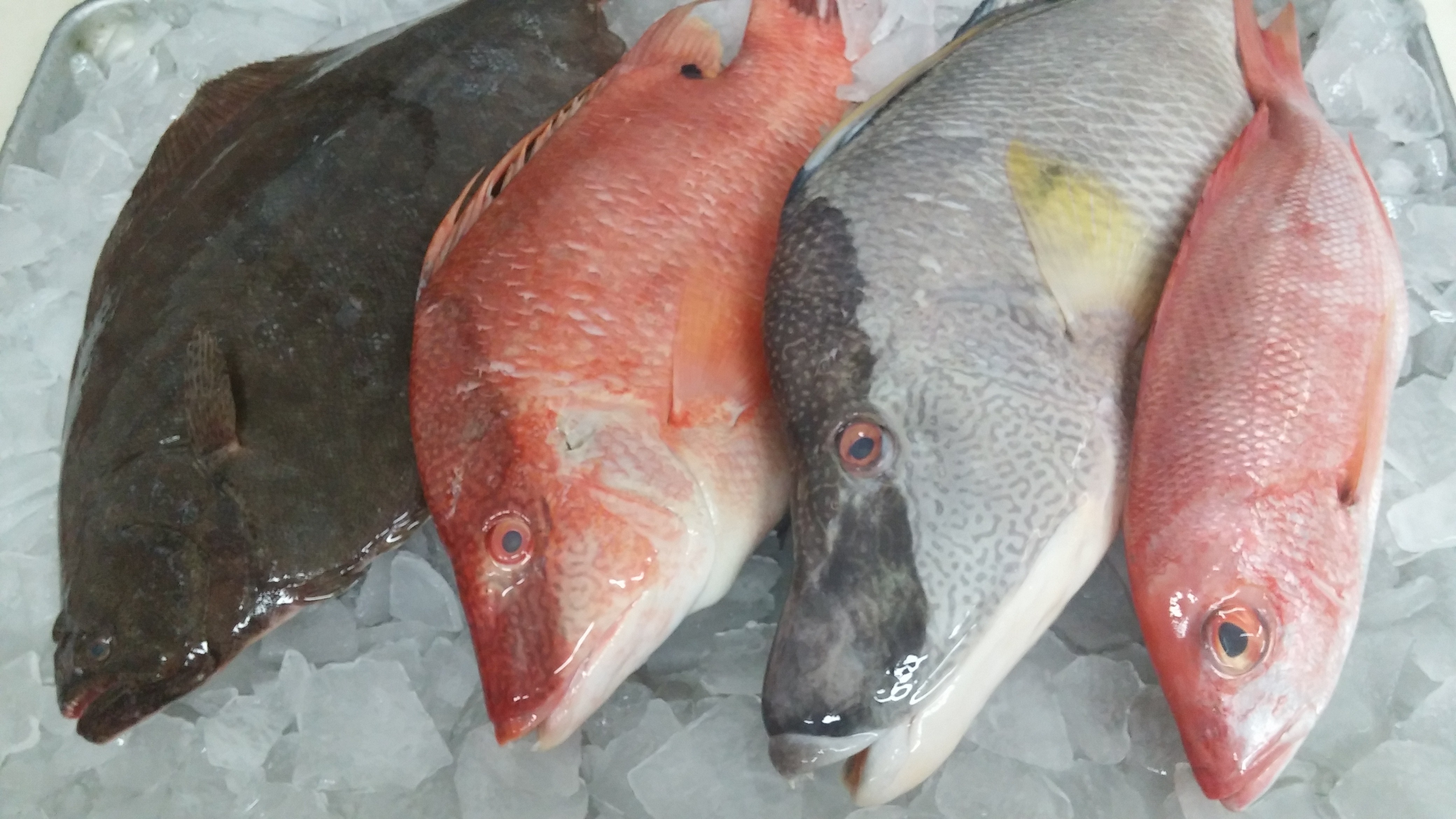 Arranged Food and Objects