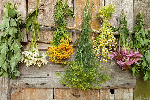 shutterstock_214779424.jpg