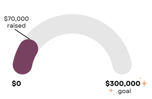Land fundraiser scale.png