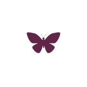 Life Recaptured INC logo