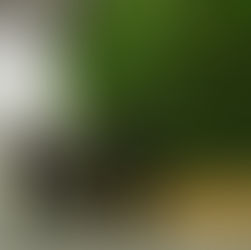 Solution #15: A green workspace