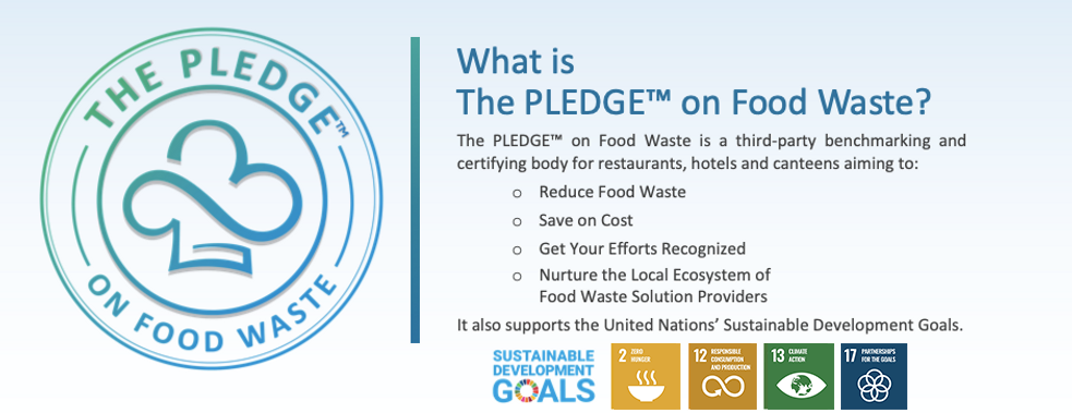 Fixed PLEDGE SDGs.webp