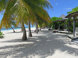 maldives-1095116.jpg