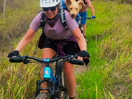 Update on Guia, The Little Adventure Dog