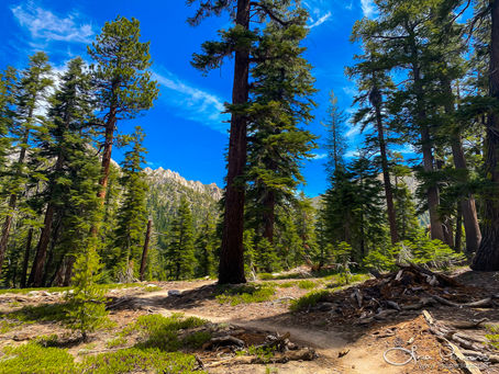 Trail of Murder in Lake Tahoe?