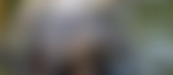 Bird Rookery Swamp and the Otters at Play