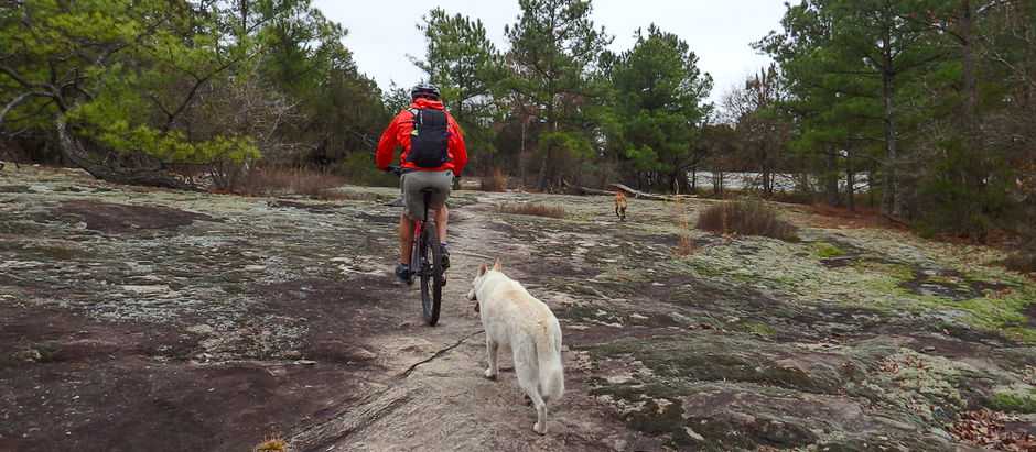 Southern Singletrack