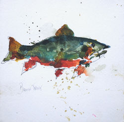 Brown Trout