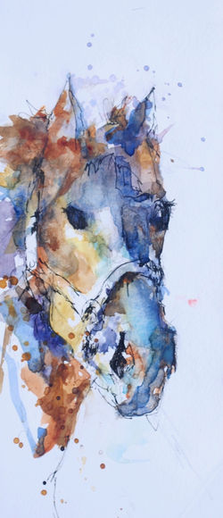 Painted Pony