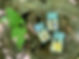 ponnonno 3枚入新パッケージ.jpeg