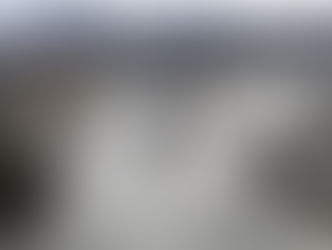 Artikel i Information / News paper article