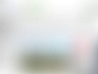 Plug'n'Play omtalt / Plug'n'Play in the news paper