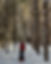 image4 (1).jpeg