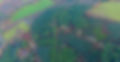 main 5.jpg