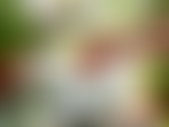 A 3 Minute Morning Blessing for the Home