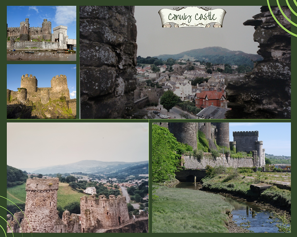 The two small photos and the bottom right one are from the castle website. The other two are mine.
