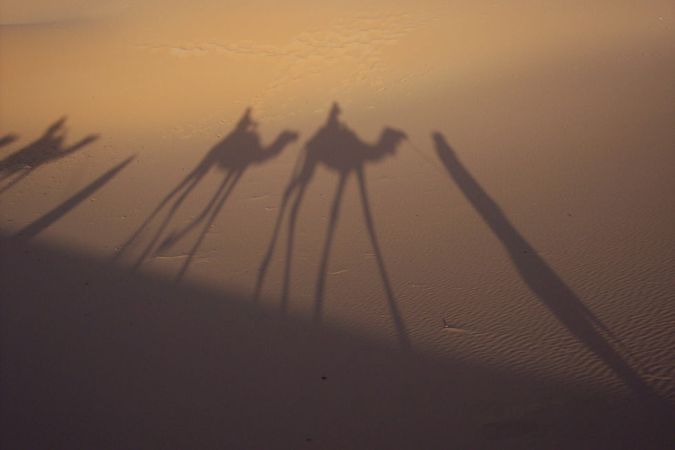 Sahara_14.JPG