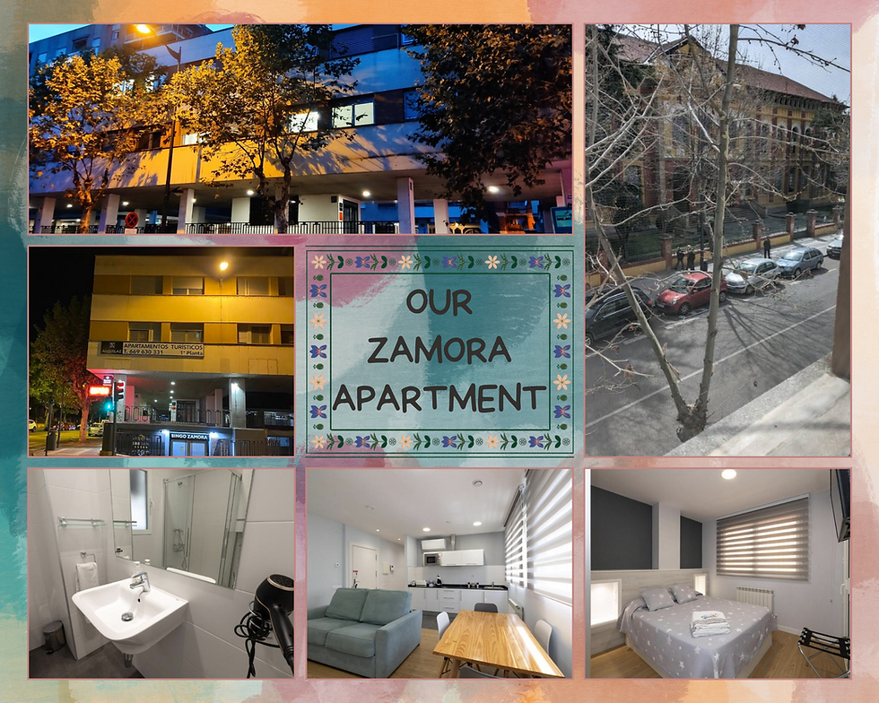 The overnight stay cost $105AUD. Photos sourced from the apartment's Booking page.