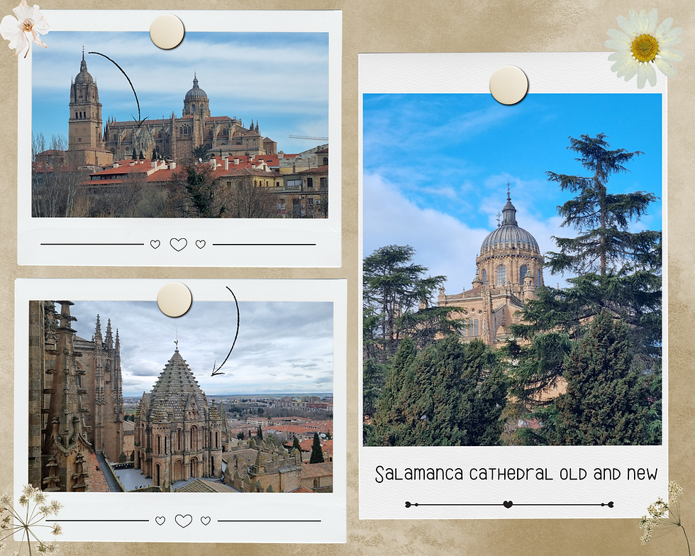 I've included an up-close shot (bottom) to mark the Old Cathedral. An arrow points to it in the top shot.