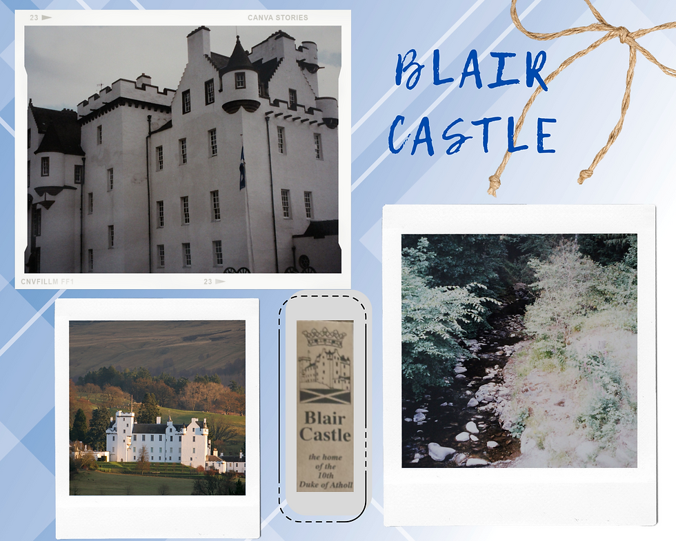 Bottom left photo from the castle website.