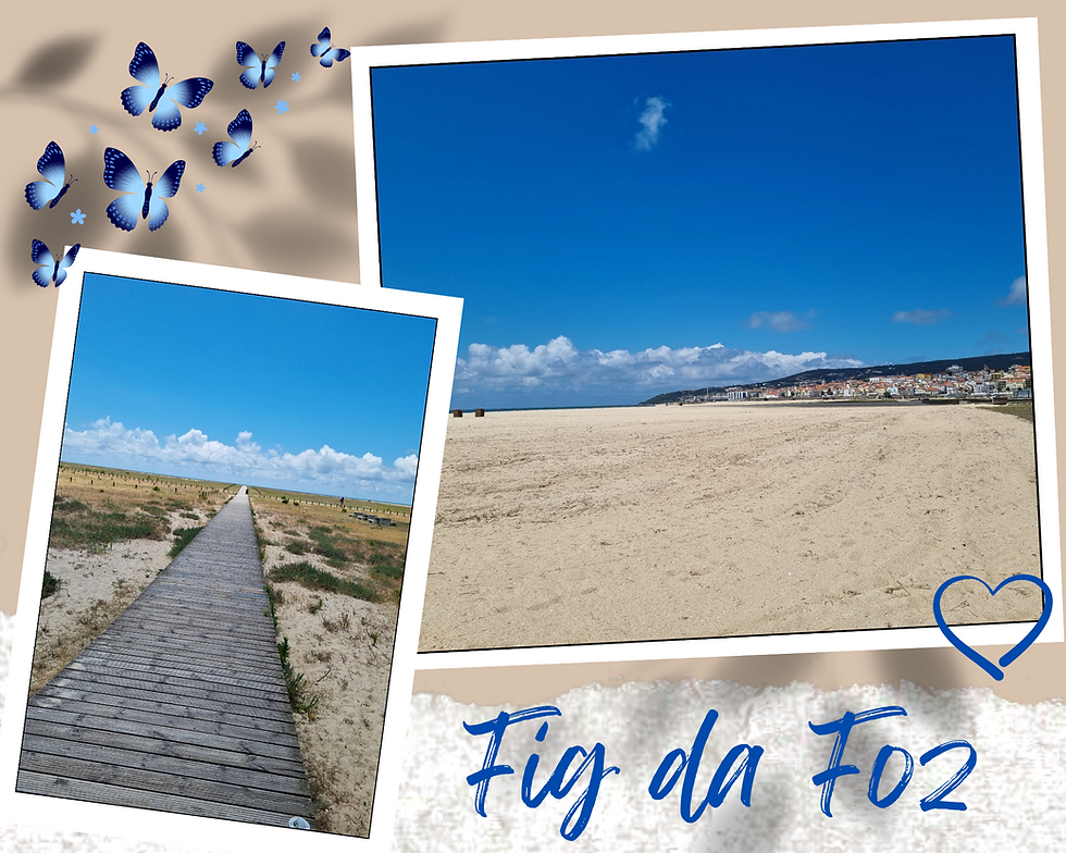 Portugal sure does love a boardwalk!