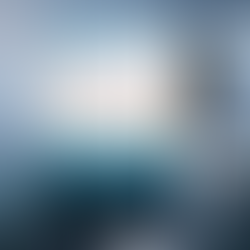 The perfect wife: A (kind of weird) sci fi mystery thriller