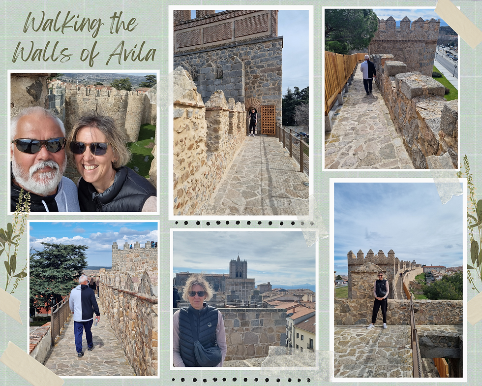 An unforgettable experience to walk the ancient ramparts as a bonus to our Salamanca sojourn.