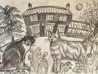 These were some sketches for the Cat Commission