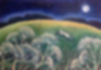 White Hare and Cowparsley in moonlight