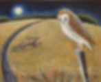 Barn Owl at Harvest
