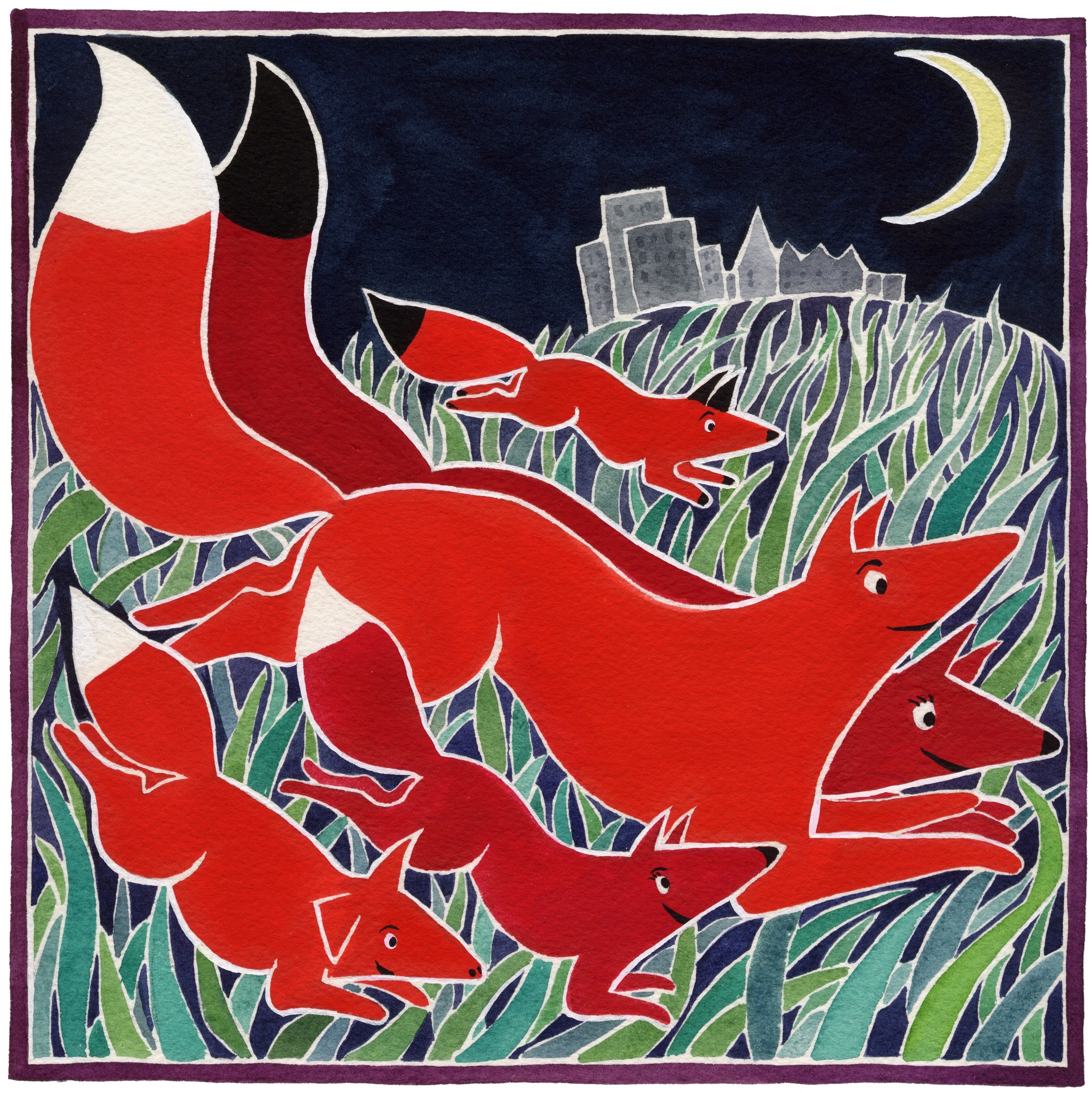 Red Fox